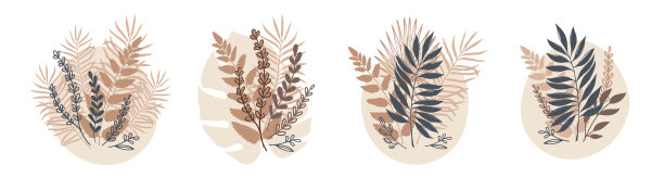 一套抽象的粉彩叶花束。孤立的大叶子，蕨，棕榈，矢量斑点在白色的背景。热带平面设计图片下载