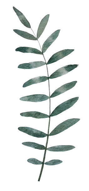 明亮的画面配上植物的形象图片下载