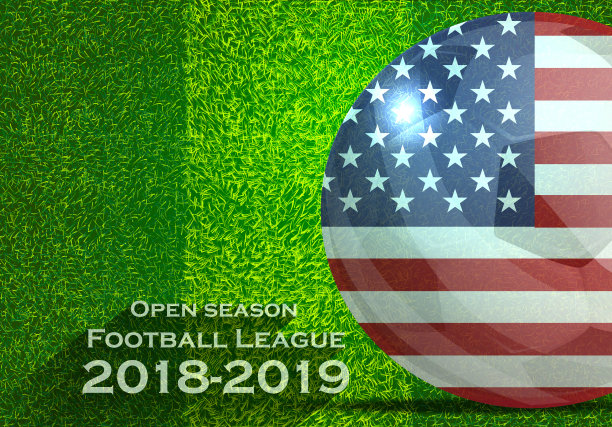 2018-2019赛季足球联赛文字-带有足球旗帜，草地，足球场。图片下载