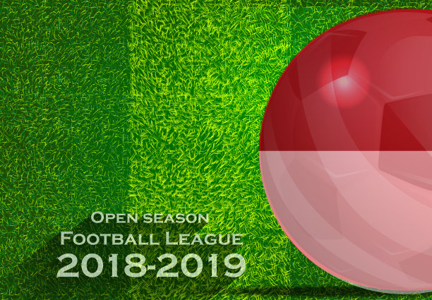 2018-2019赛季足球联赛文字-带有足球旗帜，草地，足球场。图片下载