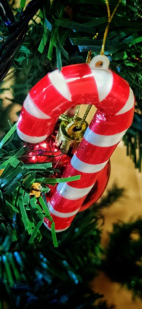 用甘蔗糖装饰的圣诞树。图片下载