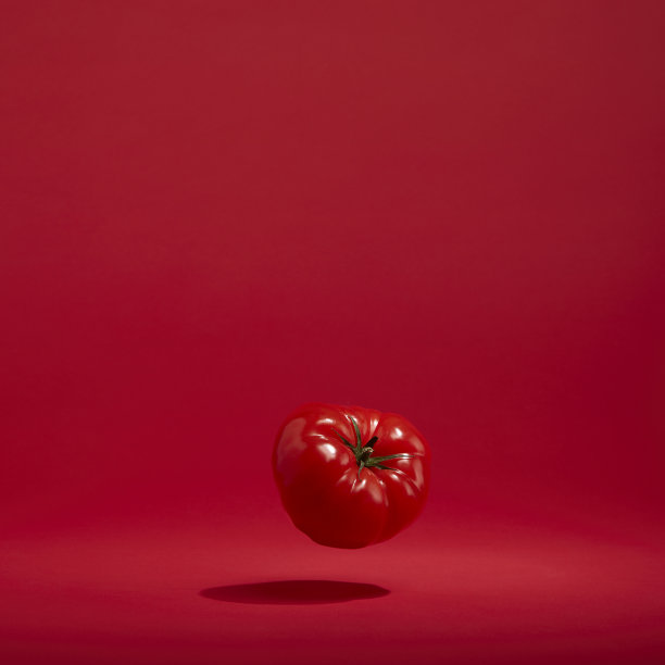 新鲜的蔬菜漂浮在彩色的背景下图片下载