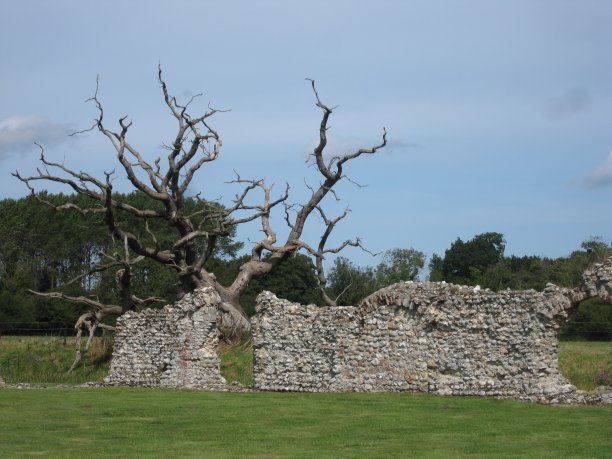 死亡与腐烂图片下载
