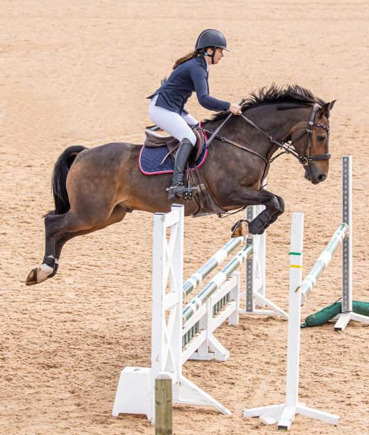 在一名年轻的女骑手在马鞍上练习她的运动时，用优雅的半空中姿势跳跃的骏马。图片下载