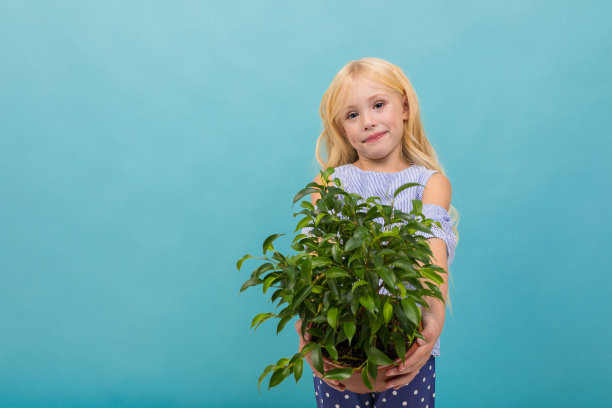 小白人女孩的肖像在蓝色t恤与长长的金发持有绿色植物孤立在蓝色背景图片下载