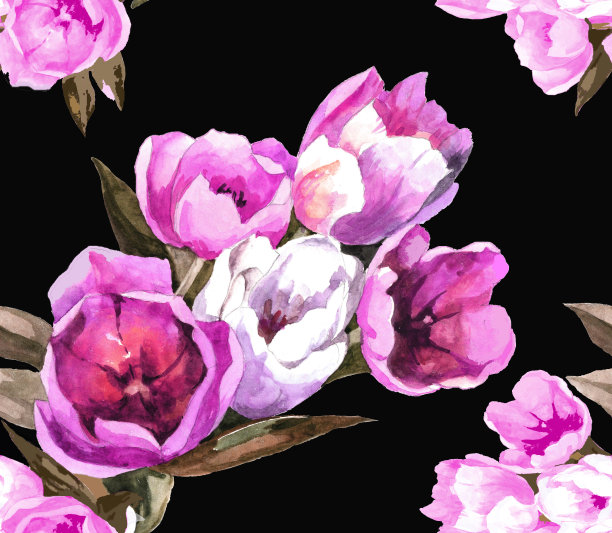 水彩粉色和白色郁金香预算在黑色无缝图案。图片下载