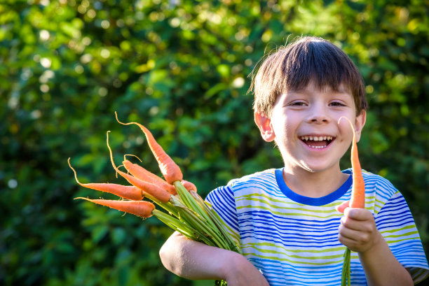 小男孩手里拿着一根胡萝卜，用手指看着胡萝卜，健康食品概念，面部情绪积极，穿着橙色t恤，孤立的蓝色背景，复制空间图片下载