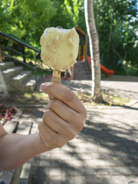 手持巧克力冰棒的女人的手在自然背景下图片下载