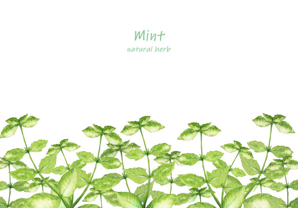 水彩薄荷花园图片下载