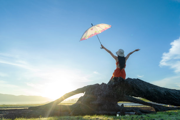 人们的生活方式妇女坐着，撑着伞，在老木上日出。水的倒影和美丽的天空背景图片下载