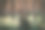 桦树被暴风雨击倒了图片下载