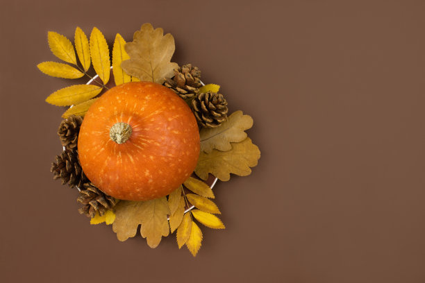 盘子上的橙色南瓜、干树叶和冷杉球果平铺在棕色的背景上。秋天的收获。万圣节,感恩节假期。创意秋天作文，装饰。股票的照片。图片下载