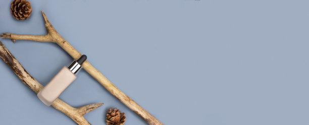 彩妆专业产品平铺在蓝色背景上俯视图，复制空间。米色地基和木枝上的球果。有机、自然、环保的化妆理念。长横幅股票照片。图片下载