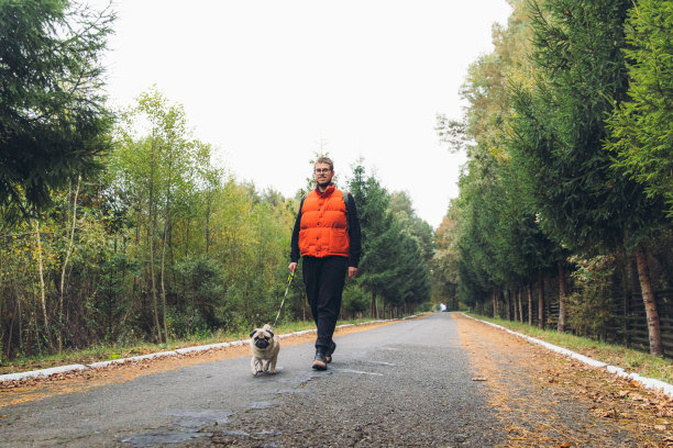 一个快乐的年轻人带着他的狗在森林里散步图片下载