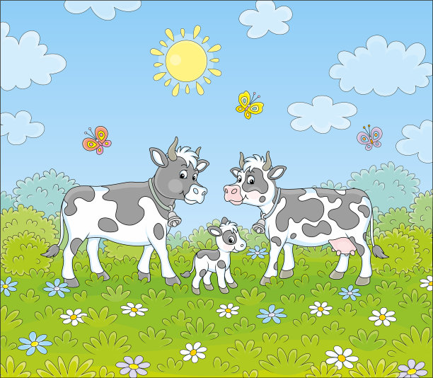 斑点奶牛一家人在绿色的田野上散步图片下载