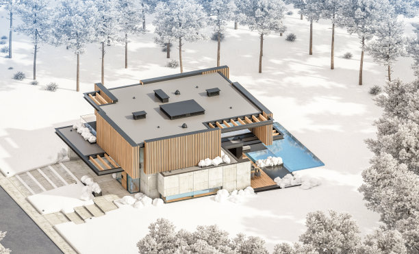 现代住宅的3d渲染与木板立面在冬天图片下载