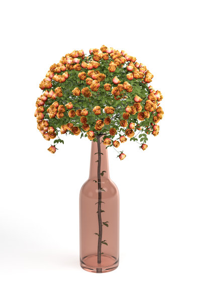 玫瑰在花瓶图片下载