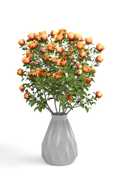 玫瑰在花瓶图片下载