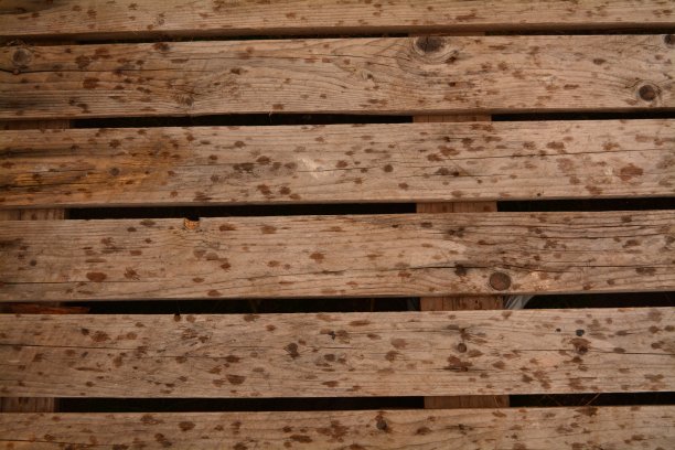 董事会图片下载