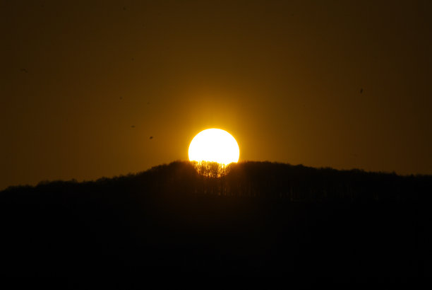 太阳藏在树林里图片下载