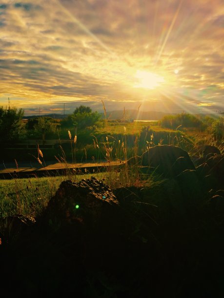 被灯光弄瞎了图片下载