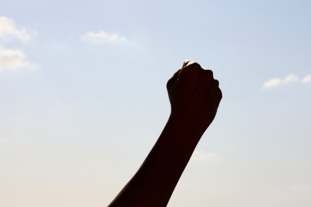 拳头泵，抗议，革命图片下载