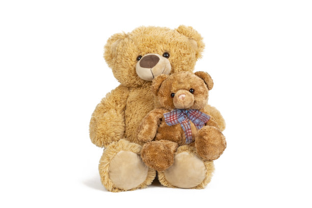 白色背景上有小熊的泰迪熊。图片下载