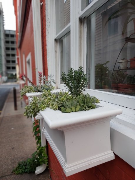 城市居住建筑图片下载