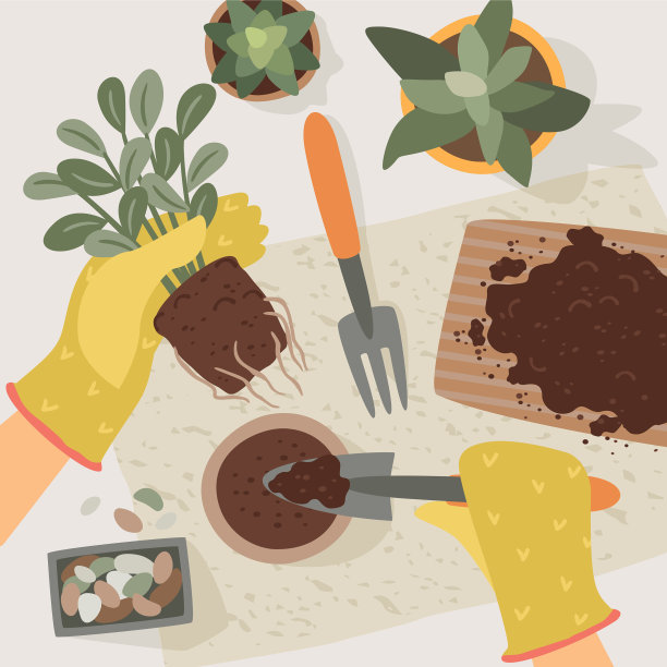 居家妇女种植室内植物图片下载