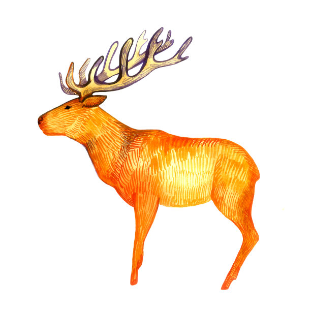 一只鹿。水彩插图在橙色赭色。白色背景上的孤立元素。图片下载