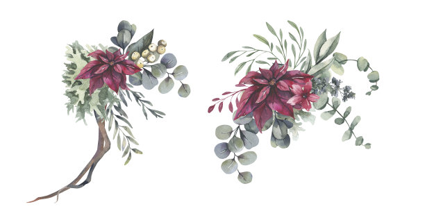水彩花卉插图-花束与红色的圣诞花，银莲花，绿色的叶子为婚礼文具，问候，壁纸，时尚，背景图片下载