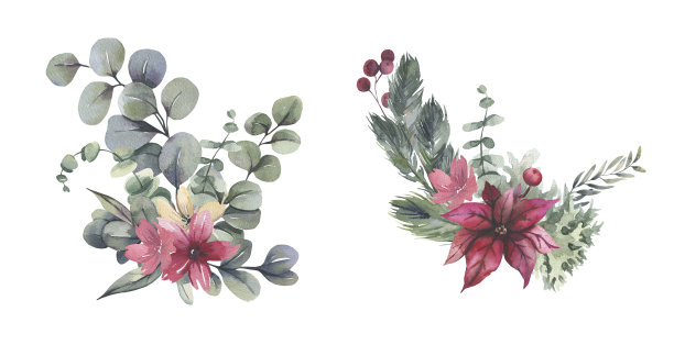 水彩花卉插图-花束与红色的圣诞花，银莲花，绿色的叶子为婚礼文具，问候，壁纸，时尚，背景图片下载