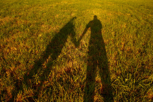 夕阳西下时，草地上牵手的情侣的影子剪影图片下载