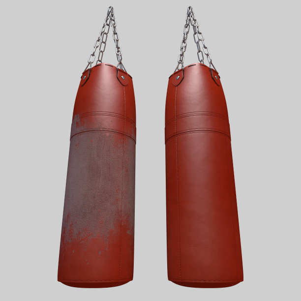 旧的和新的皮革拳击袋图片下载