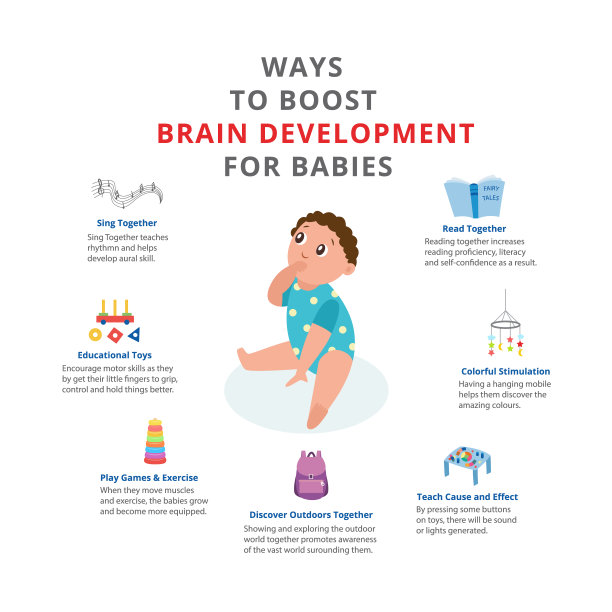 婴儿大脑发育海报，平面卡通矢量插图孤立图片下载