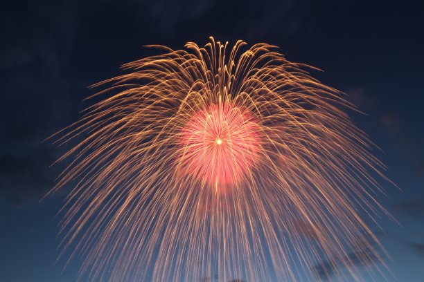 2018 新美烟花图片下载