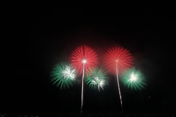 2018 新美烟花图片下载