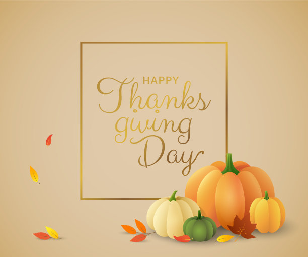 感恩节设计模板的传单，卡片或横幅。美丽的矢量南瓜在不同大小的颜色和秋天的叶子图片下载