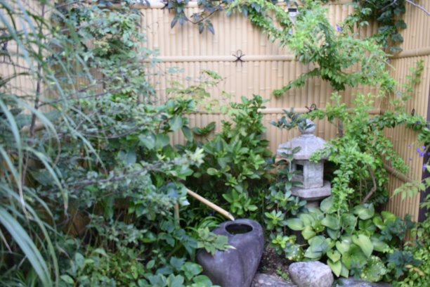 日本盆景图片下载