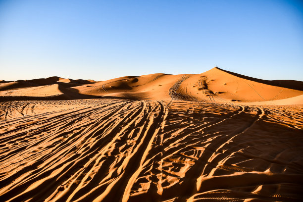 沙漠中的沙丘，照片为背景图片下载