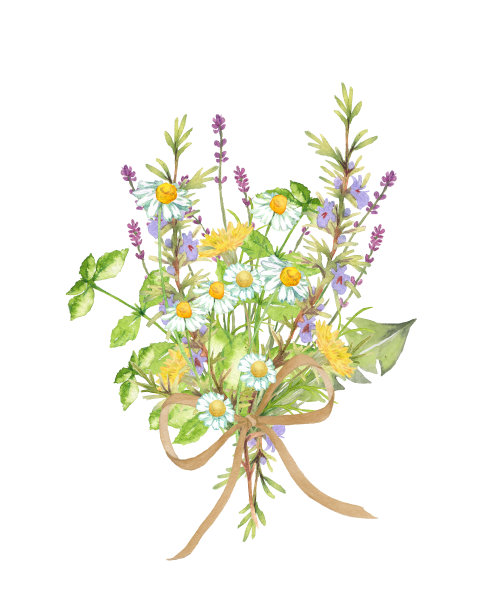 草的花束图片下载