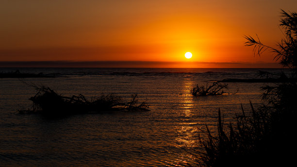 橙色的日出景观在海岸水域景观与树林在水上图片下载