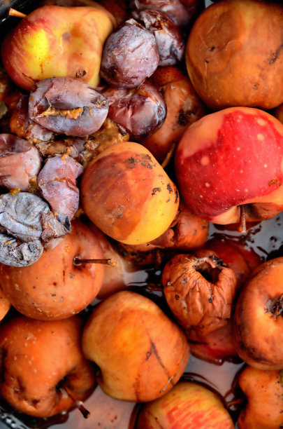 特写过熟的李子和苹果，准备发酵酒精的风落。垂直的照片。图片下载