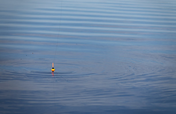 钓鱼浮在水面上。用浮杆在水上钓鱼图片下载