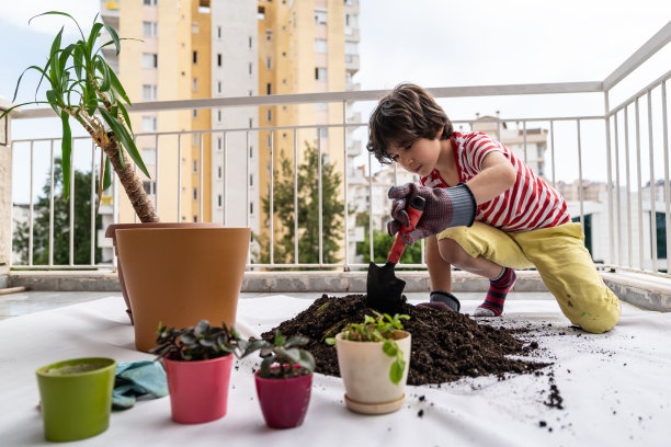 7岁男孩在阳台上园艺图片下载