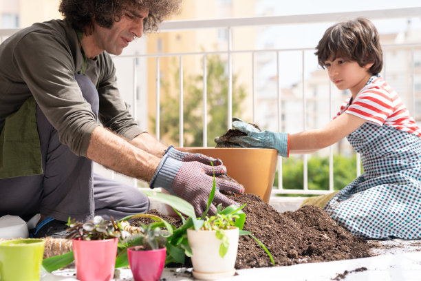 父亲和儿子在阳台上园艺图片下载