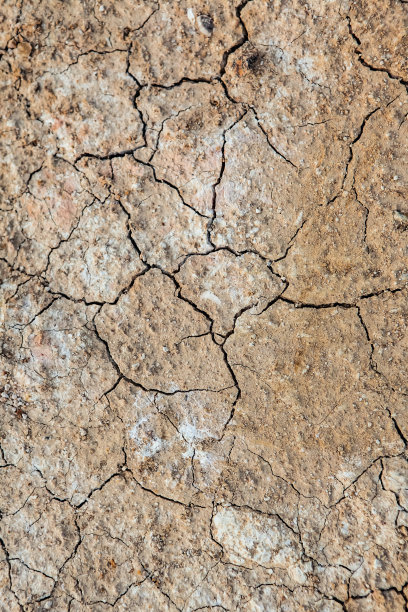 干裂土背景，粘土沙漠纹理图片下载