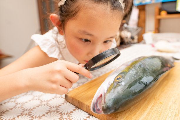 女孩用放大镜观察鱼图片下载