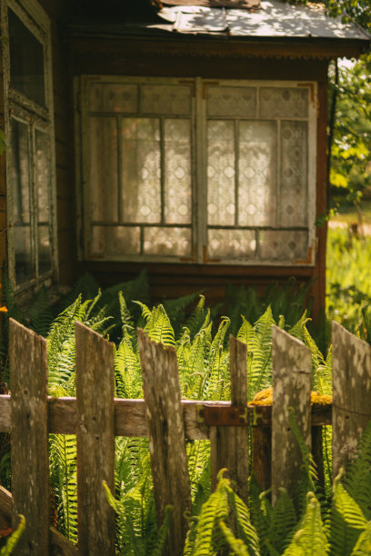 旧的木屋。窗口关闭。农村景观图片下载