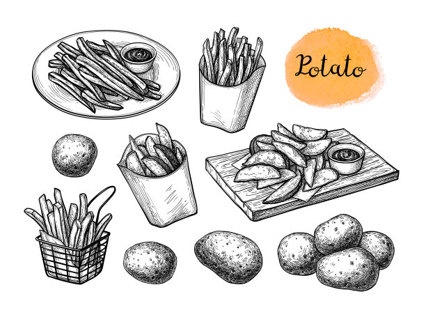 油炸土豆的素描。图片下载